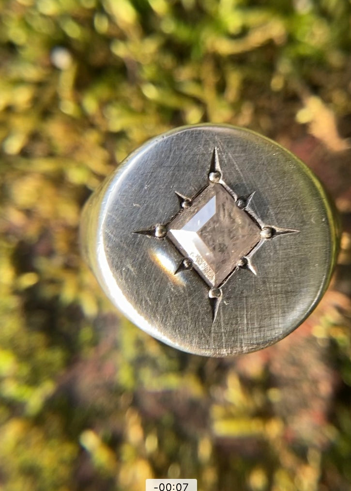 WILD STAR SILVER SIGNET